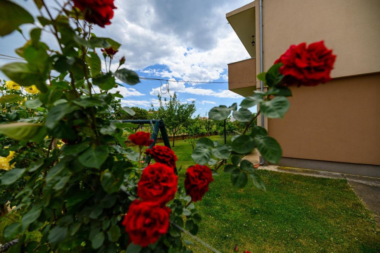 Apartments Anita Bibinje Εξωτερικό φωτογραφία